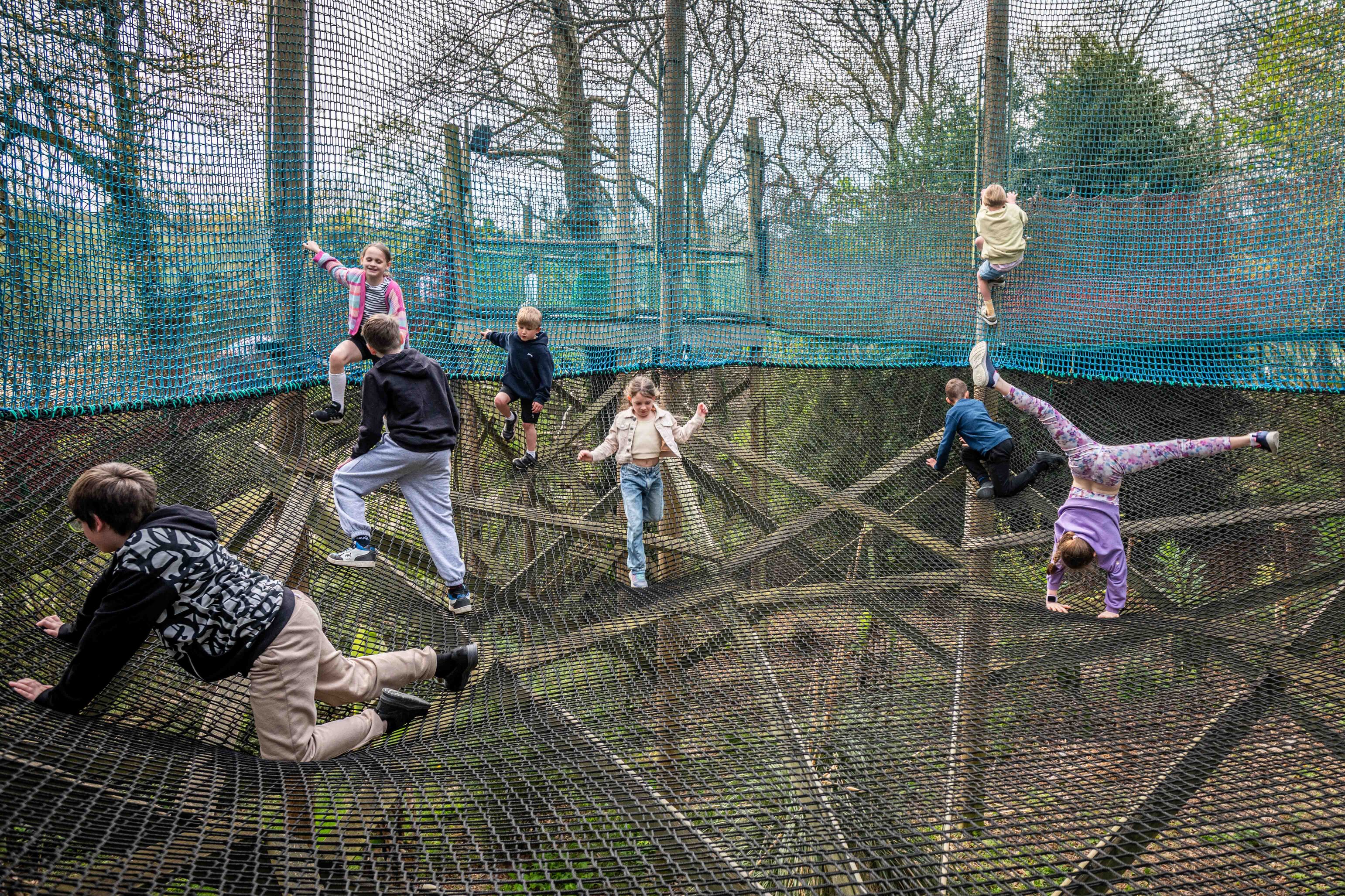 Children playing on skynets at Robin Hill Adventure Park