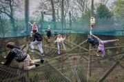 Children playing on skynets at Robin Hill Adventure Park