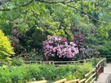 May In WP (1)