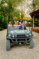 Bride and bridemaids in buggy on their wedding 