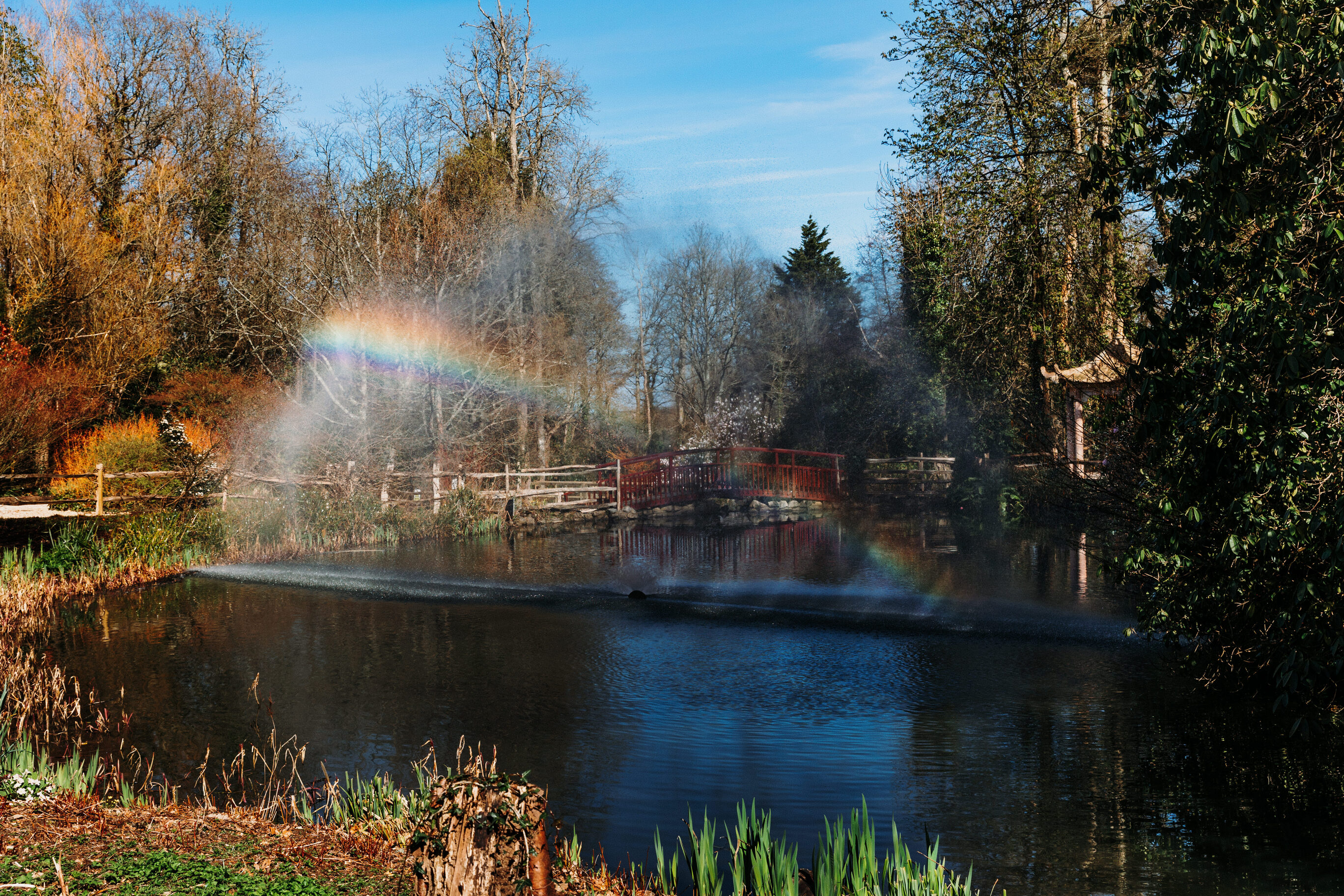 Rainbow over pond