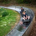 Young boys on toboggan at Robin Hill Adventure Park
